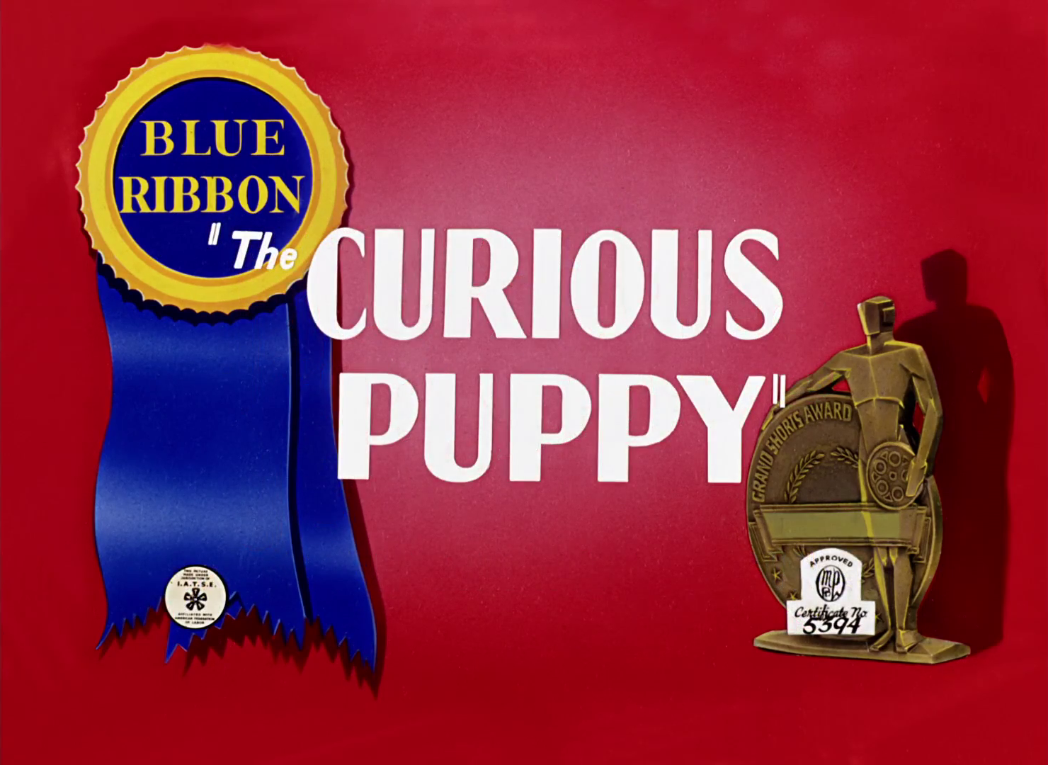 The Curious Puppy