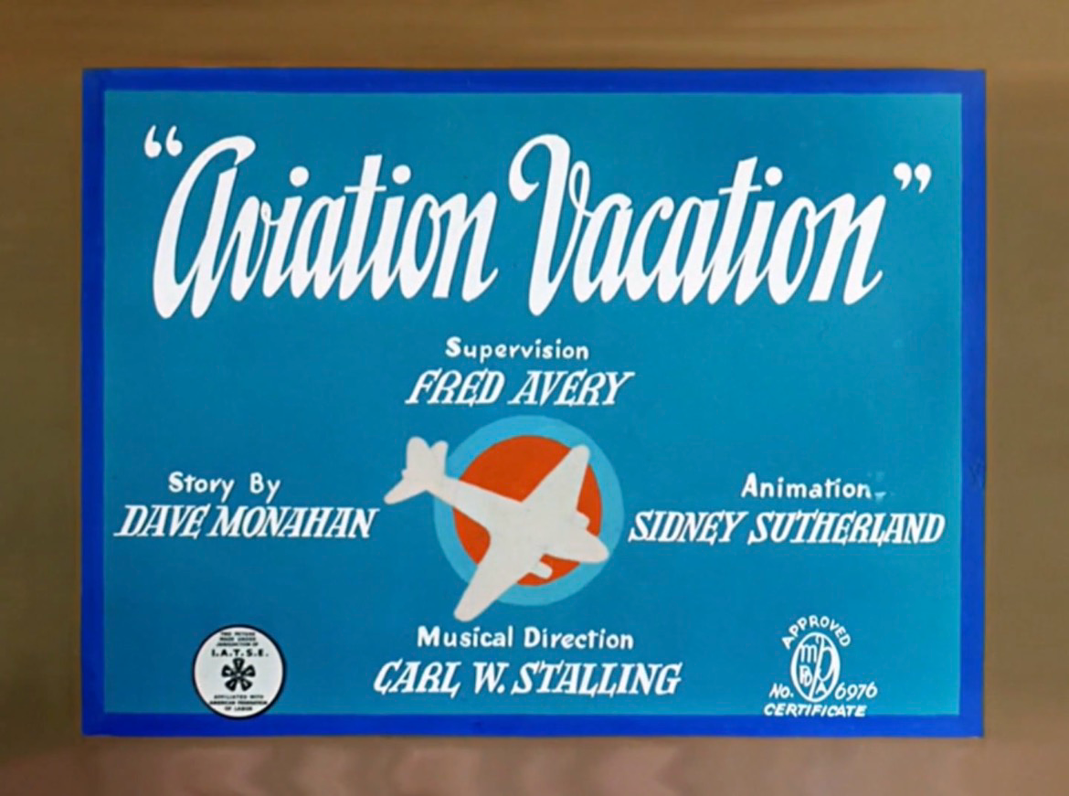 Aviation Vacation