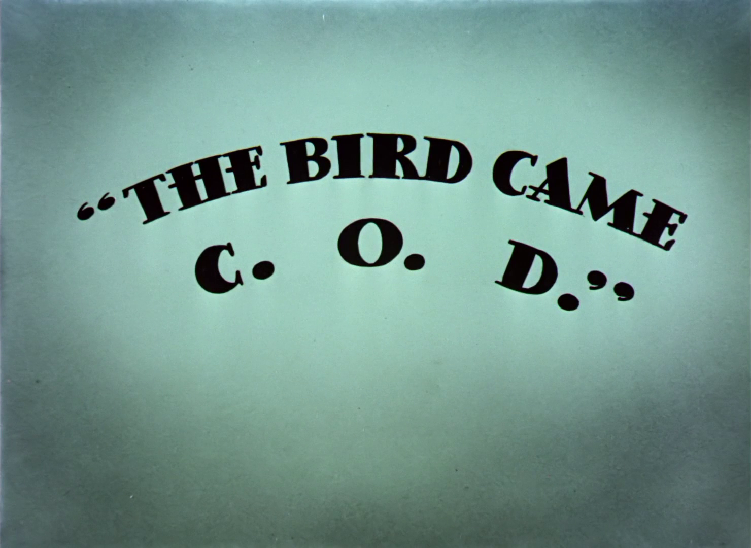 The Bird Came C.O.D.