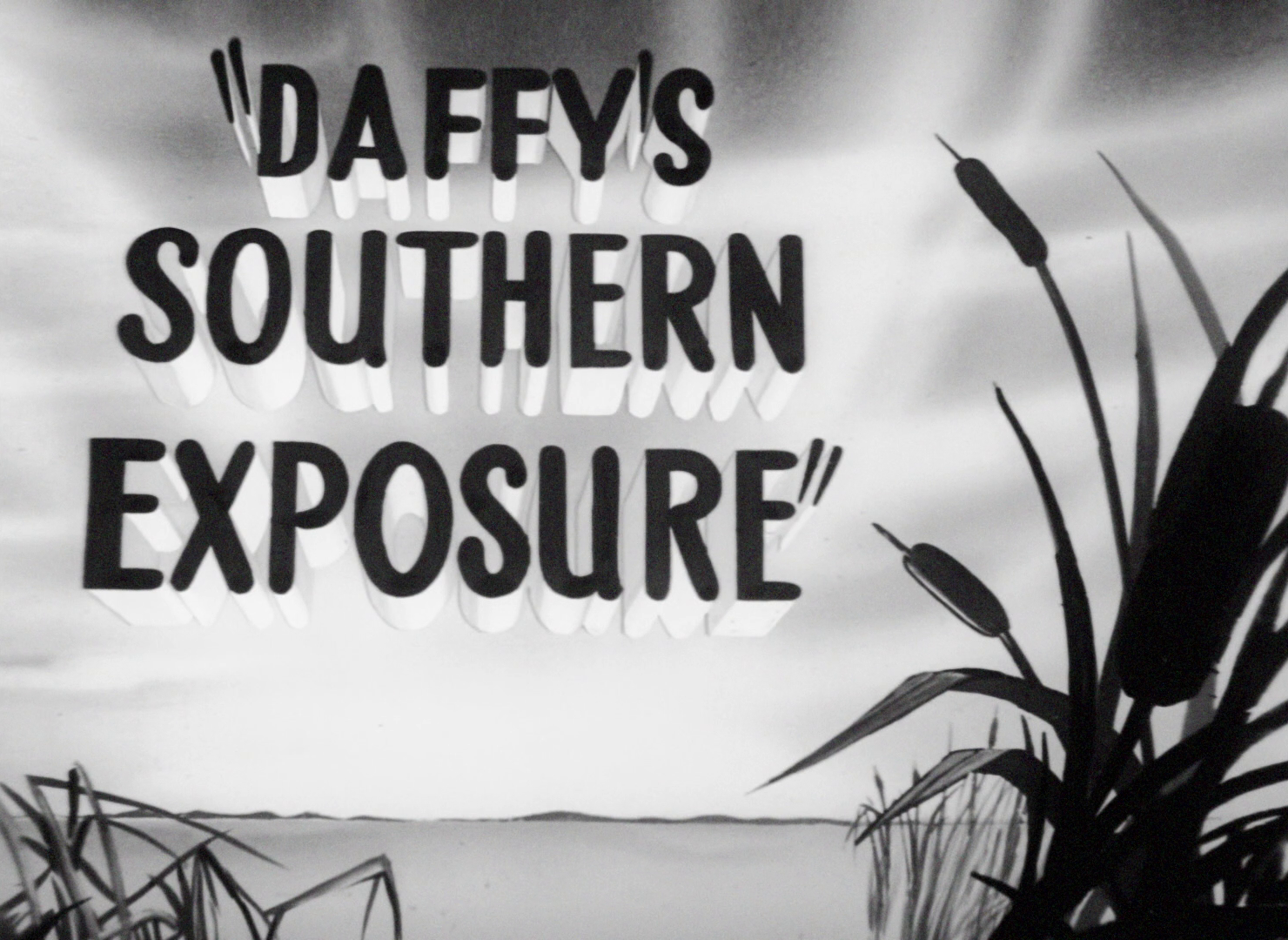 Daffy's Southern Exposure