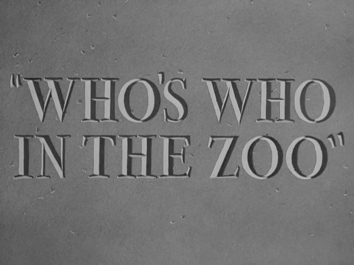 Who's Who in the Zoo