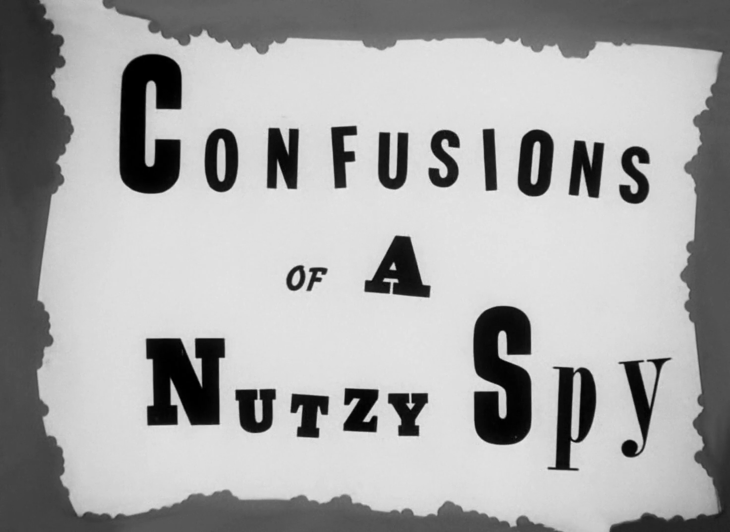 Confusions of a Nutzy Spy