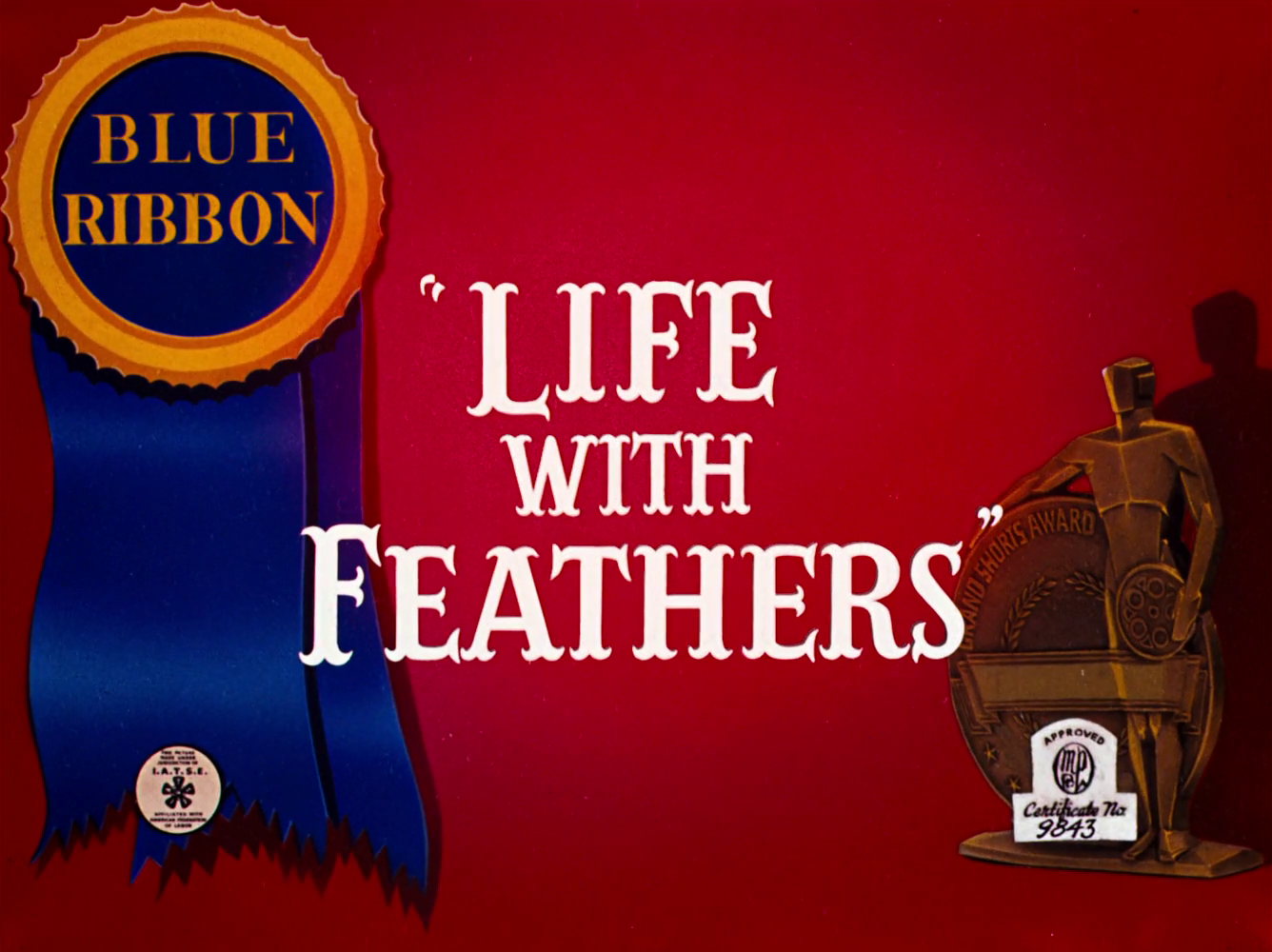 Life with Feathers