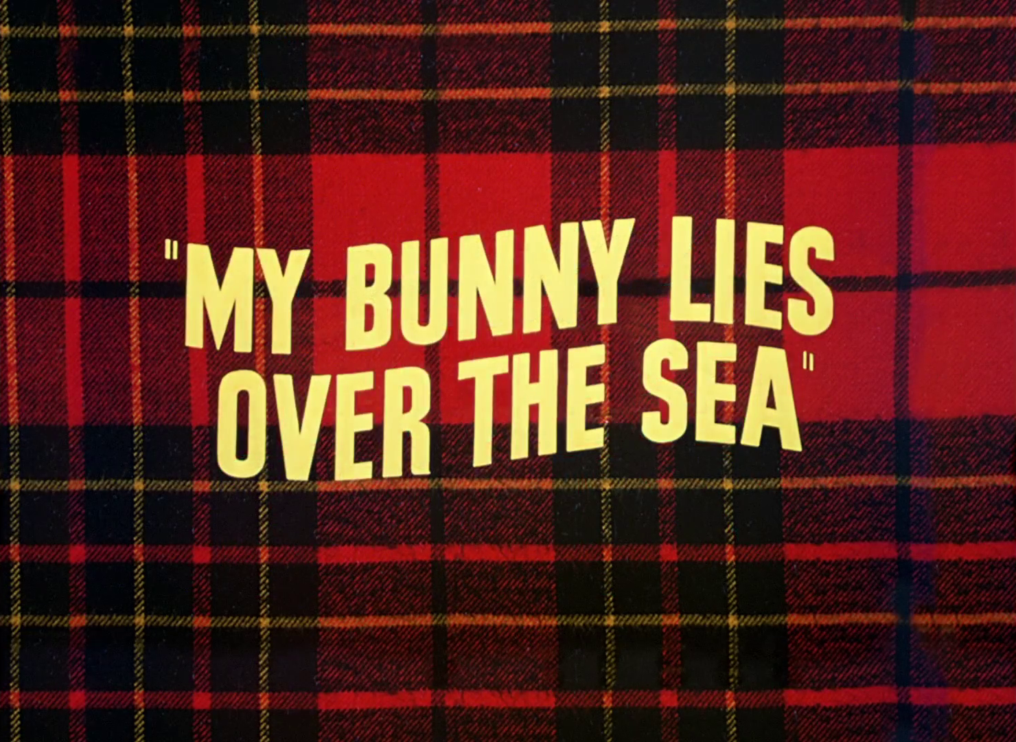 My Bunny Lies over the Sea