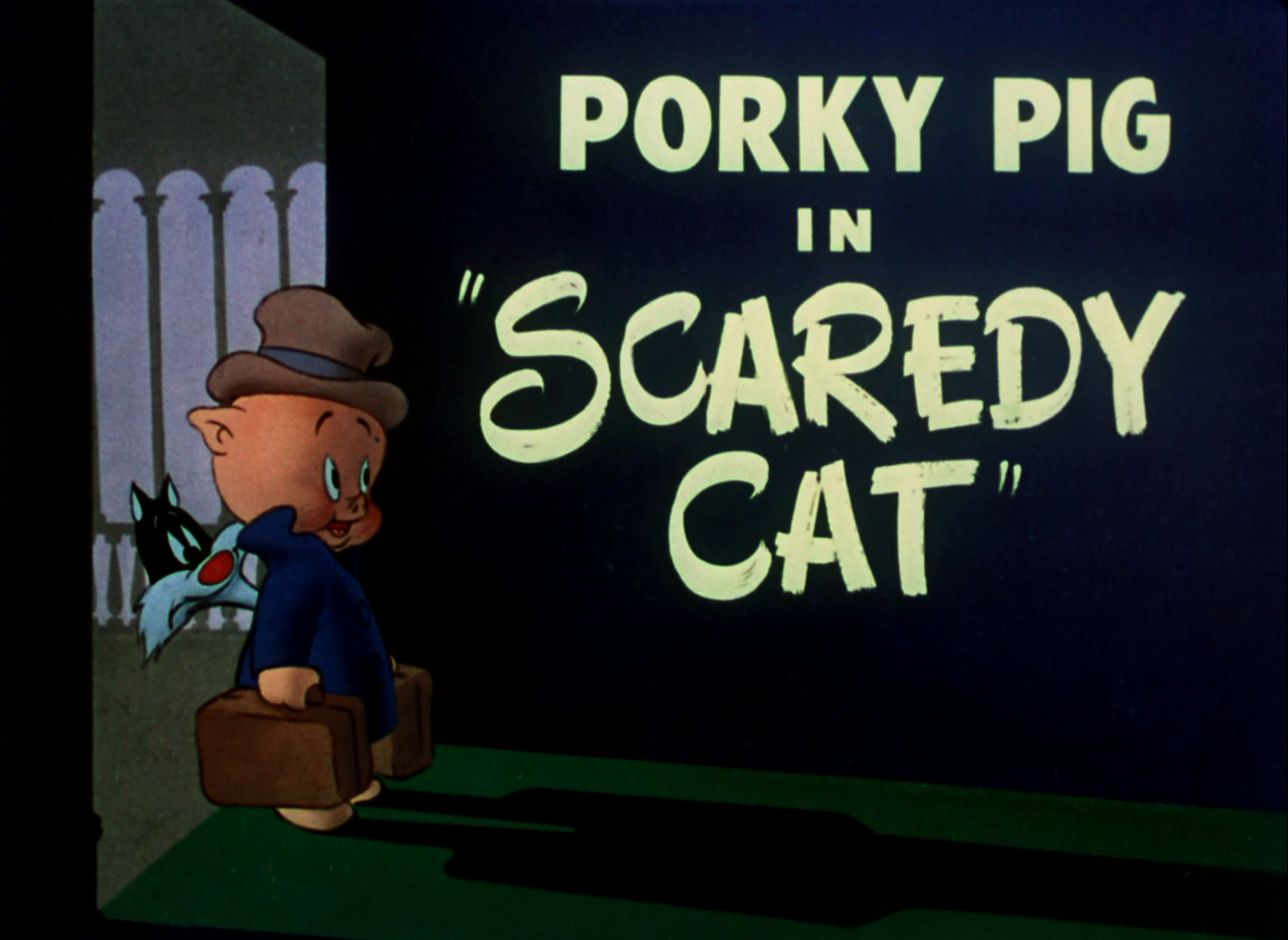 Scaredy Cat
