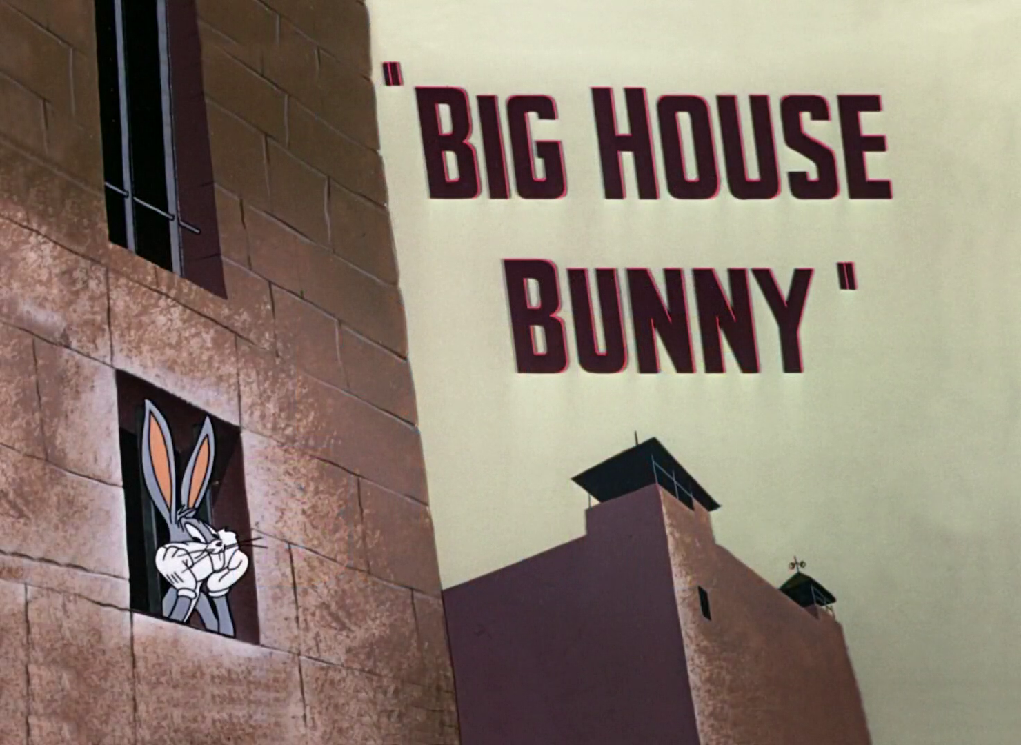 Big House Bunny