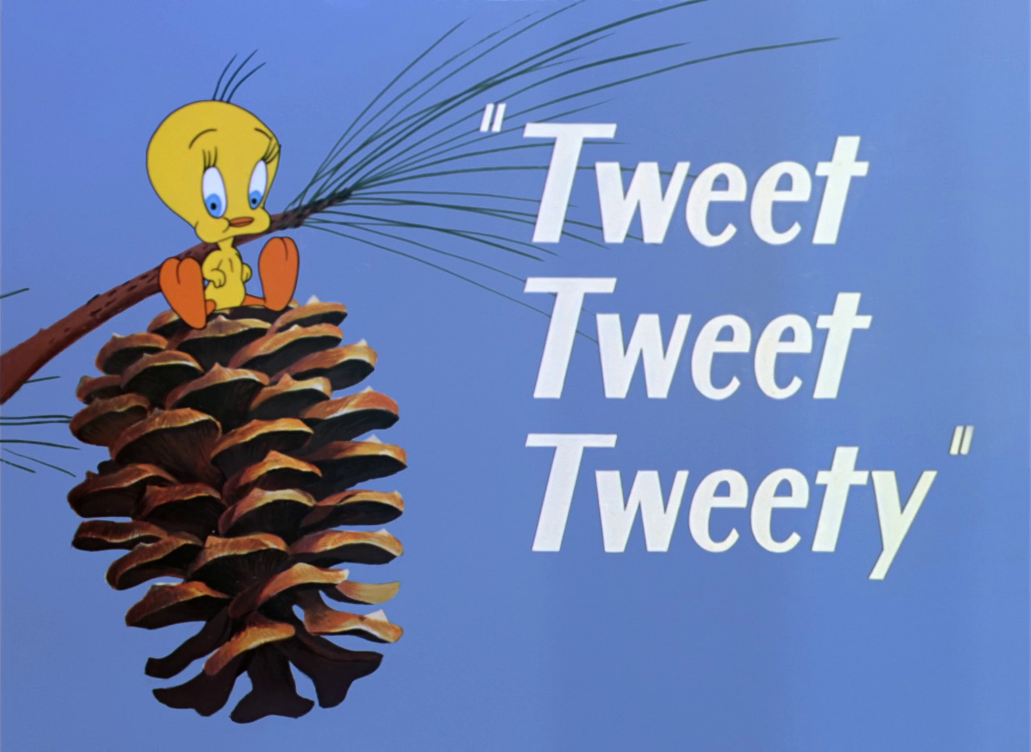 Tweet Tweet Tweety
