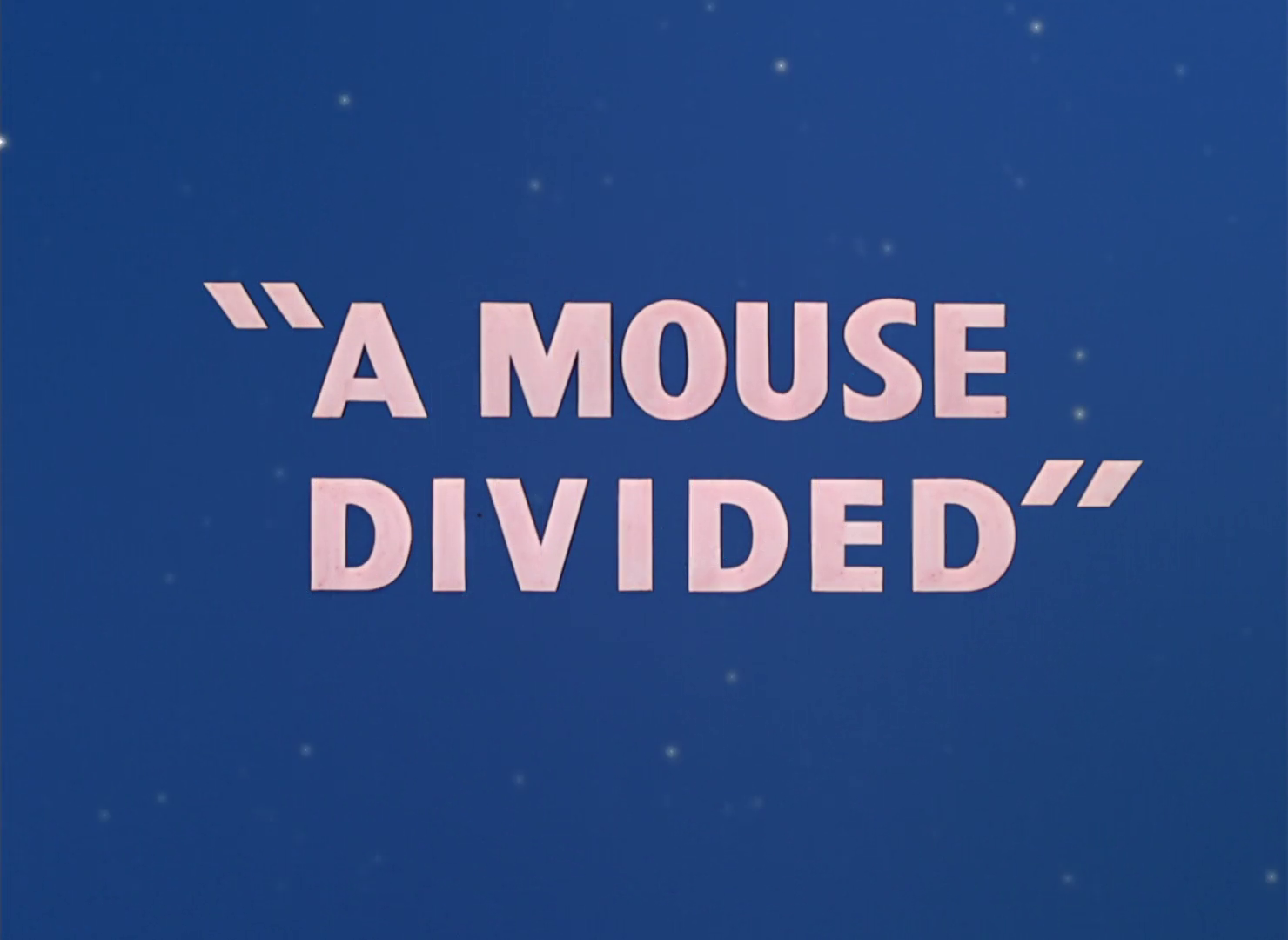 A Mouse Divided