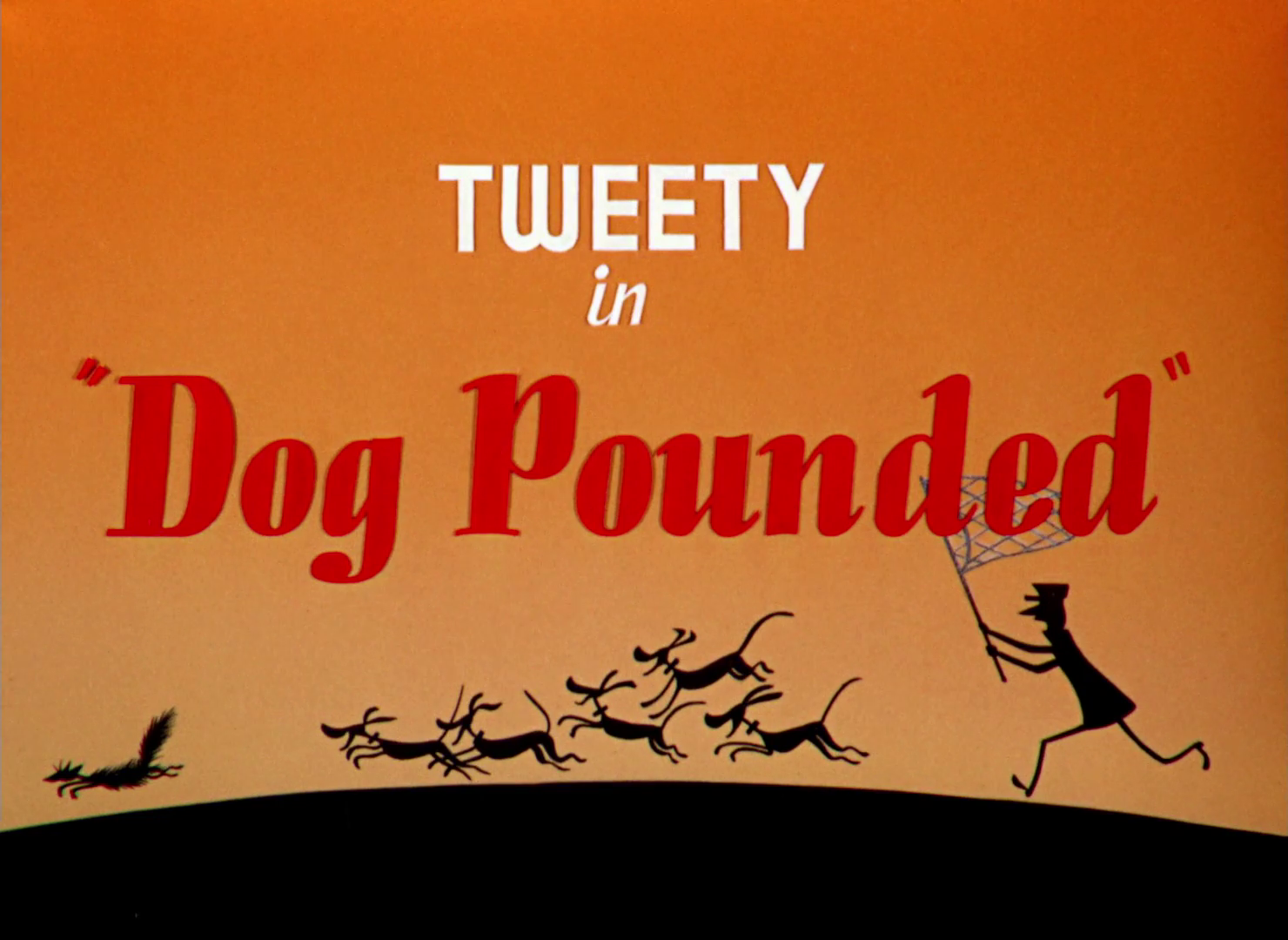 Dog Pounded