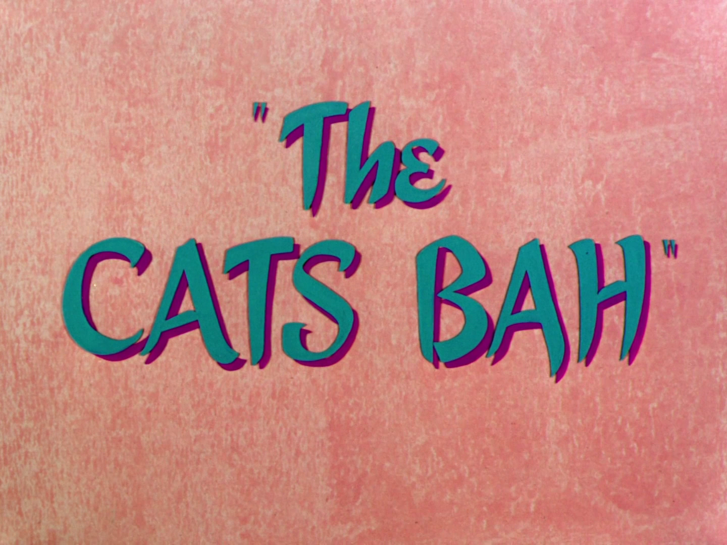 The Cats Bah
