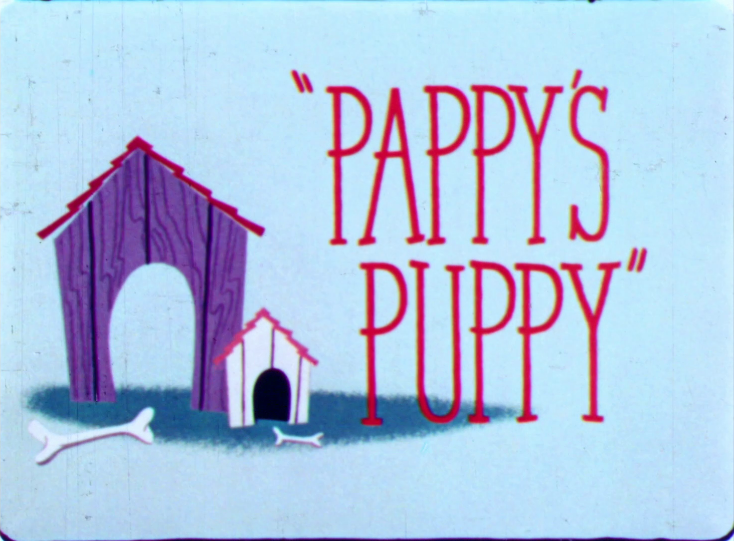 Pappy's Puppy