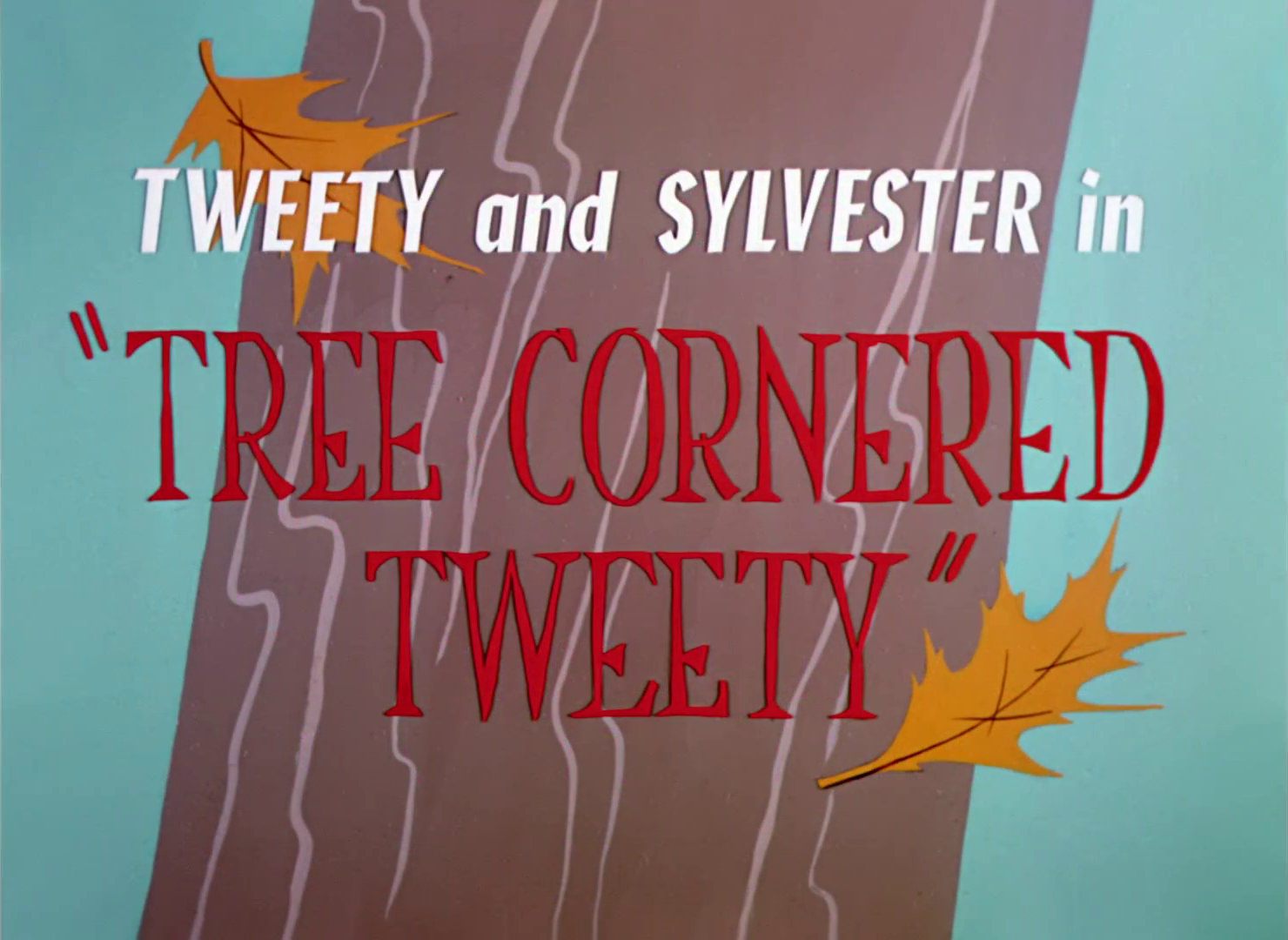 Tree Cornered Tweety