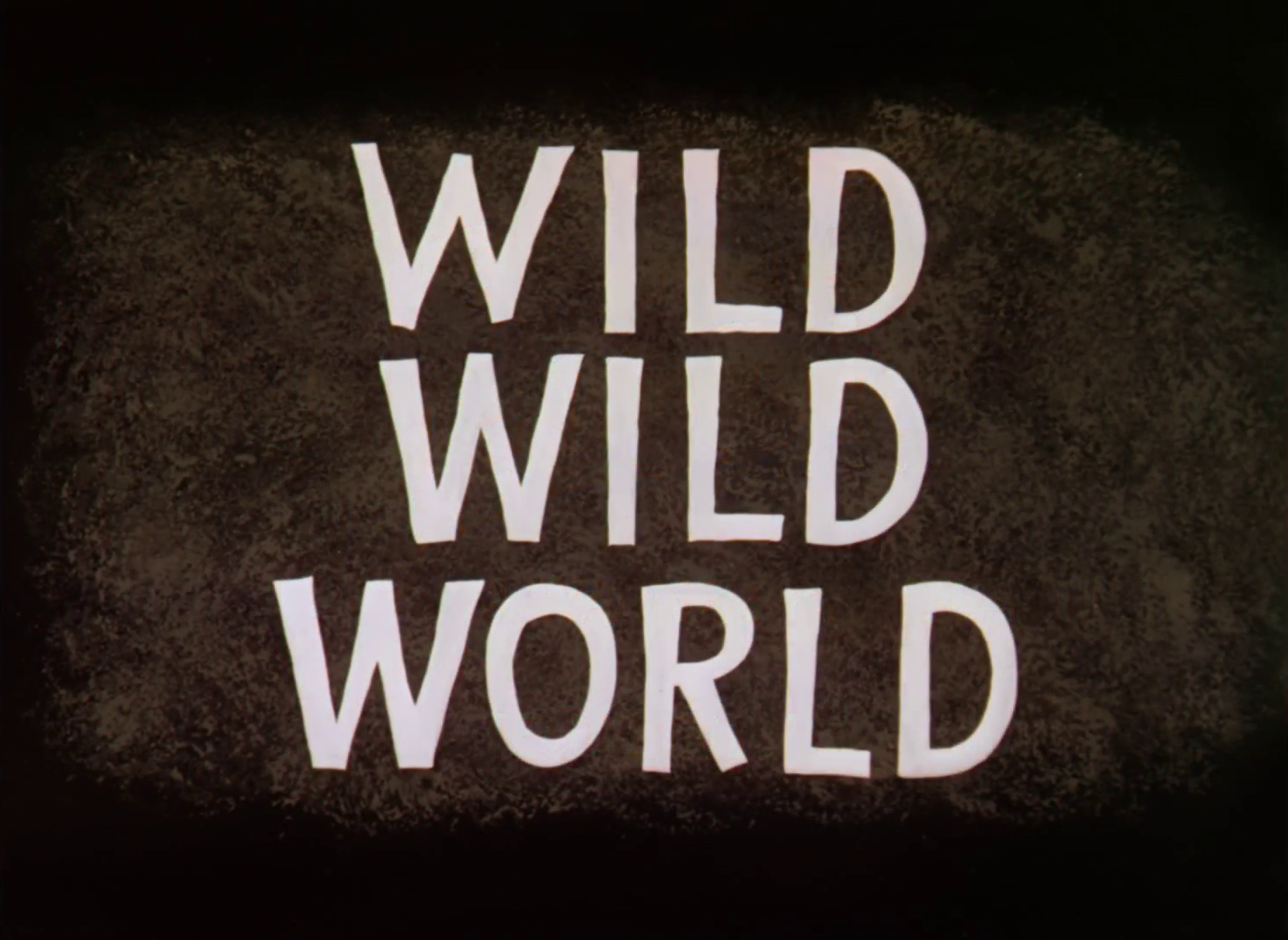 Wild Wild World