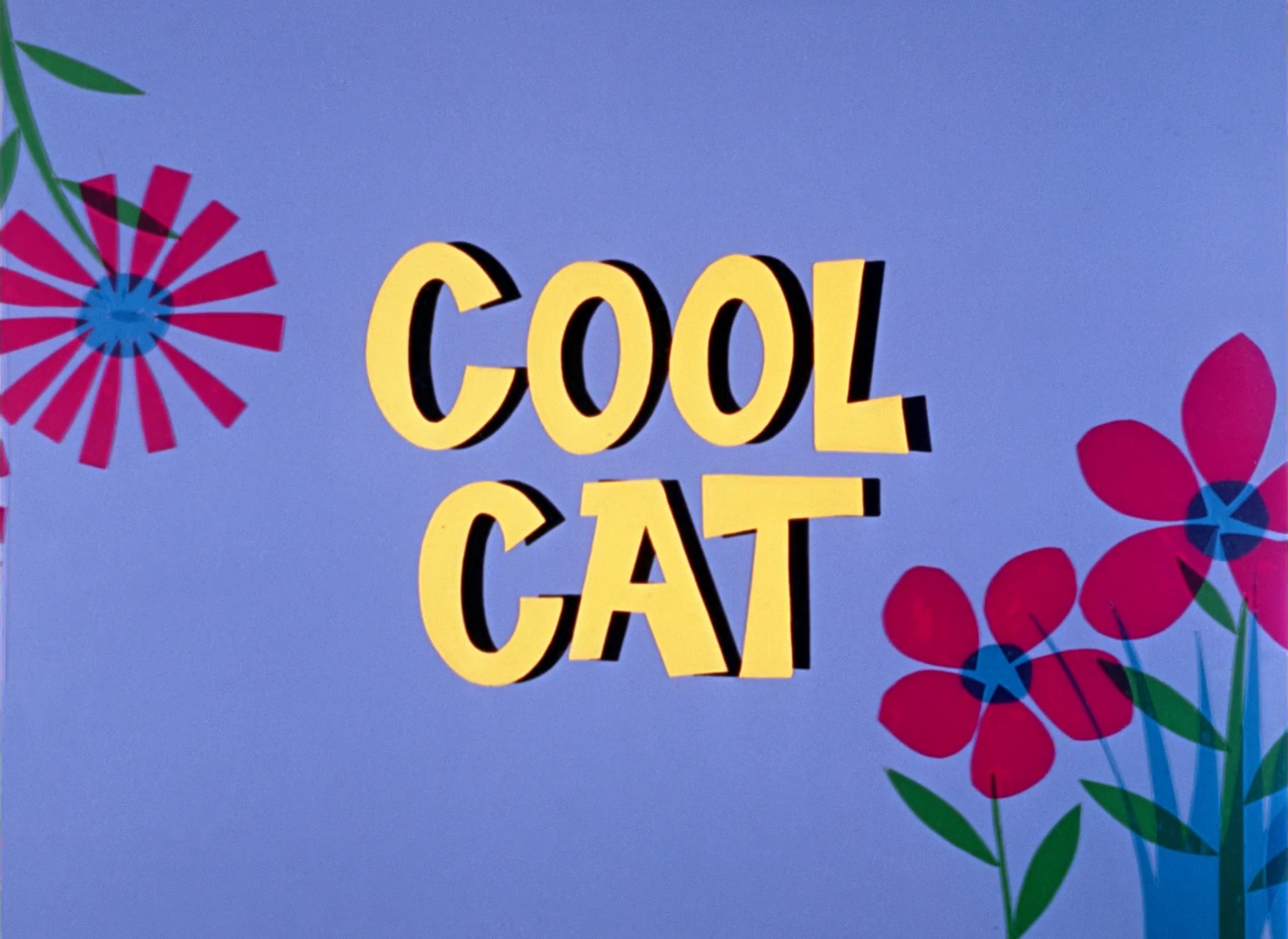 Cool Cat
